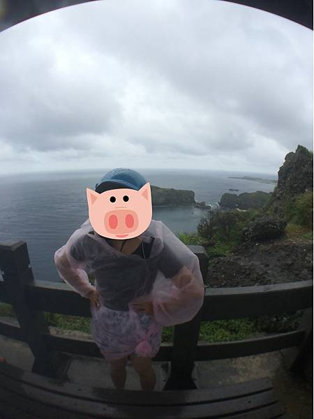 IMG_9655.JPG IMG_9655.JPG