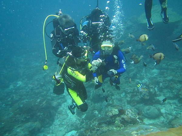 IMG_1450.JPG IMG_1450.JPG