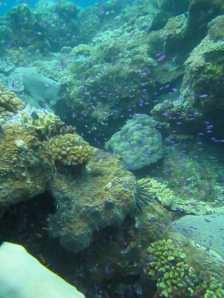 IMG_1466.JPG IMG_1466.JPG