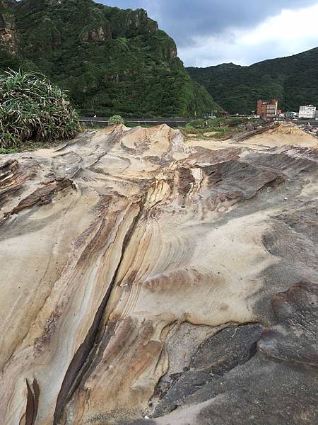 S__6864905.jpg S__6864905.jpg