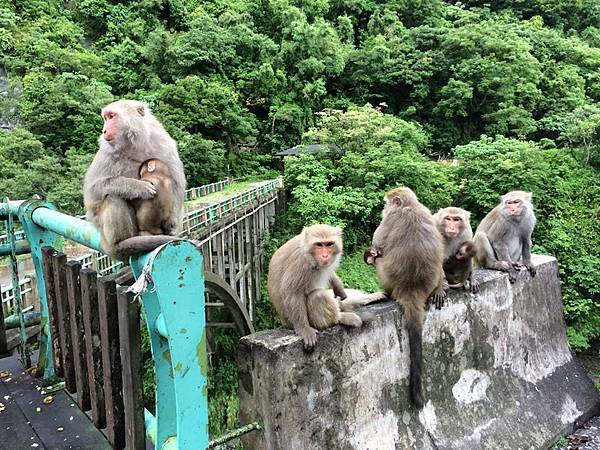 11052871_10154203659660942_7526528233276711879_n.jpg 11052871_10154203659660942_7526528233276711879_n.jpg