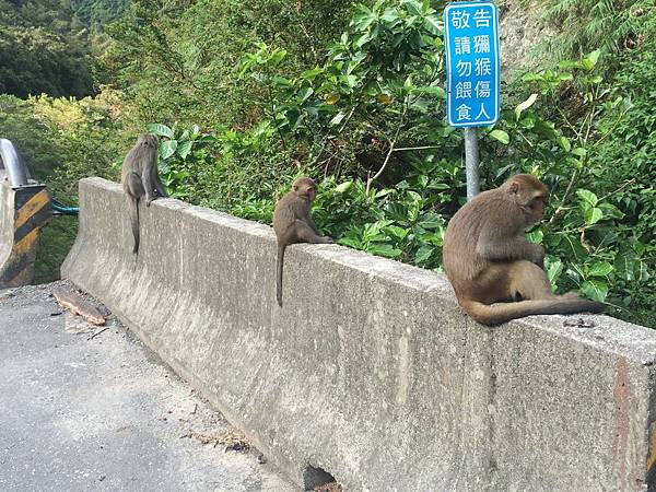 IMG_0573.JPG IMG_0573.JPG