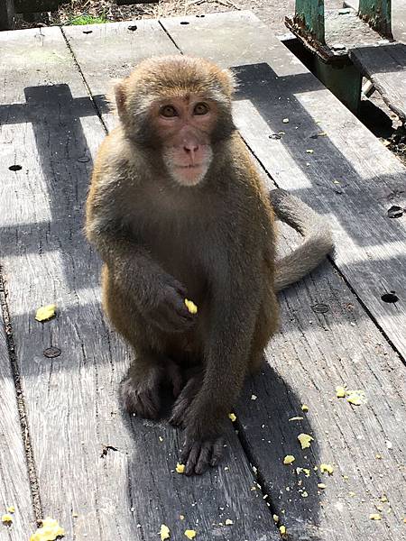 IMG_5286.JPG IMG_5286.JPG