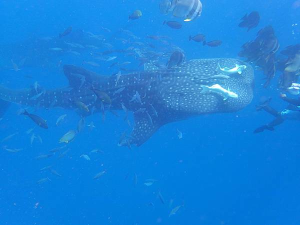 P8060192.JPG P8060192.JPG