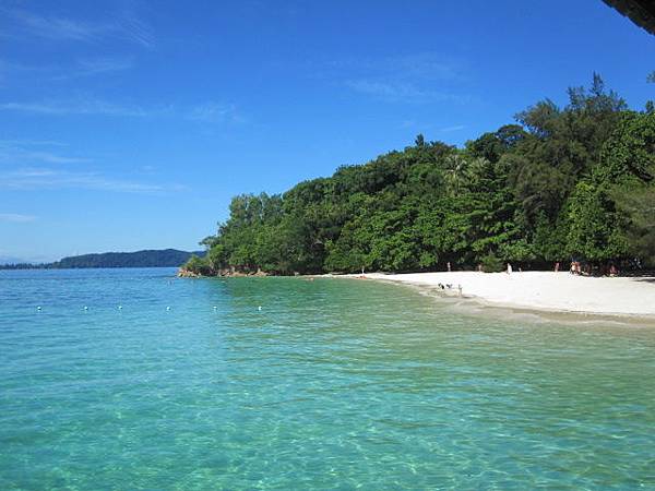 IMG_8831.jpg IMG_8831.jpg