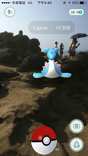 IMG_1393.JPG IMG_1393.JPG