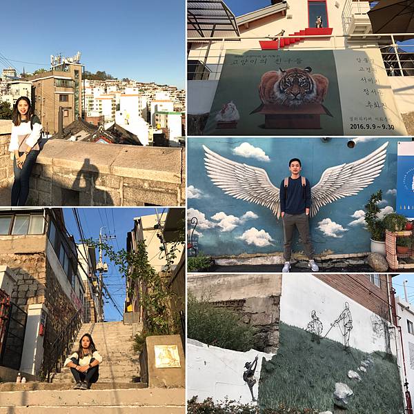 IMG_2874.JPG IMG_2874.JPG