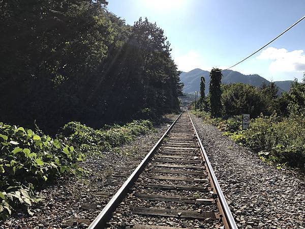 IMG_2251.JPG IMG_2251.JPG