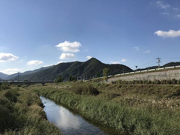 IMG_2252.JPG IMG_2252.JPG