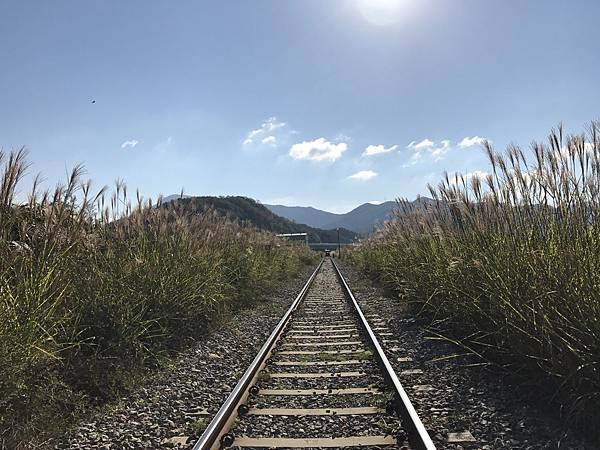 IMG_2290.JPG IMG_2290.JPG