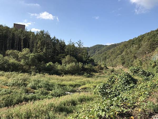 IMG_2312.JPG IMG_2312.JPG