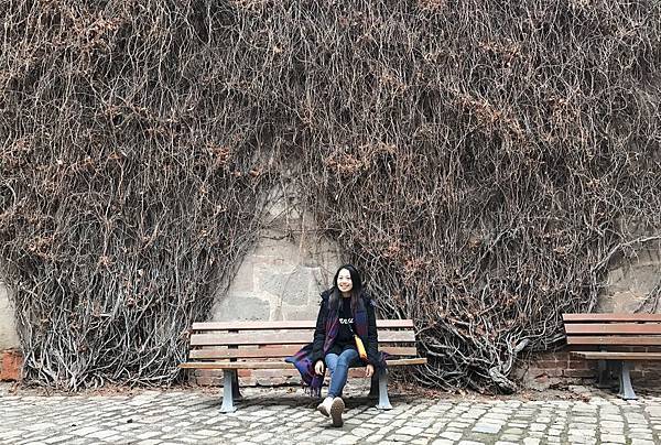 IMG_3475.JPG IMG_3475.JPG