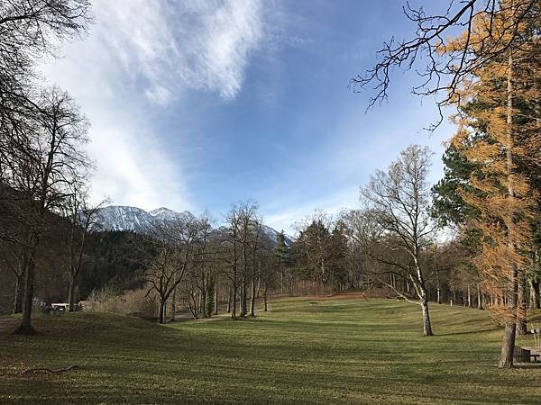 IMG_3180.JPG IMG_3180.JPG