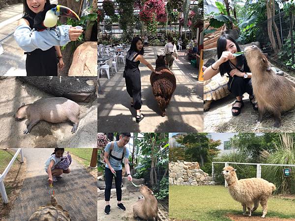 %E6%9C%AA%E5%91%BD%E5%90%8D