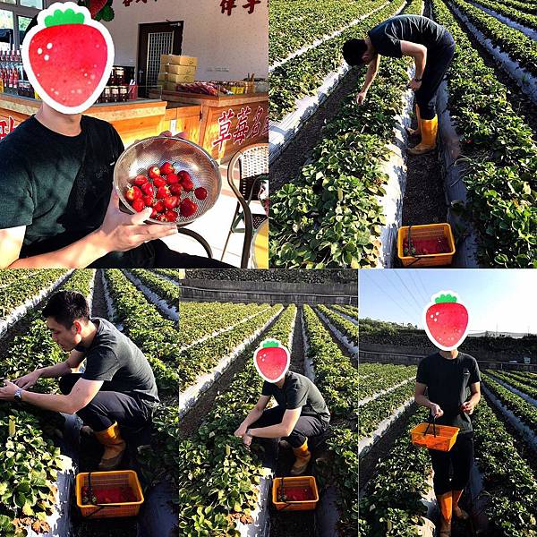 S__12820522.jpg S__12820522.jpg