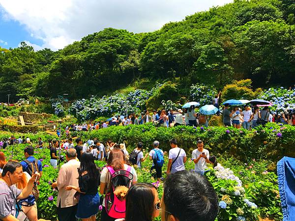 IMG_6615_meitu_4.jpg IMG_6615_meitu_4.jpg