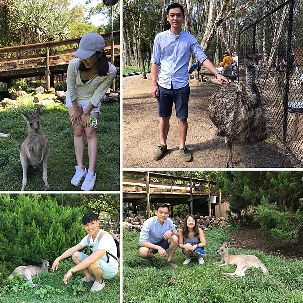 IMG_3325.JPG IMG_3325.JPG