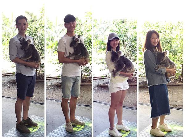 IMG_3320.JPG IMG_3320.JPG