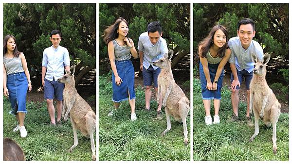 IMG_3321.JPG IMG_3321.JPG