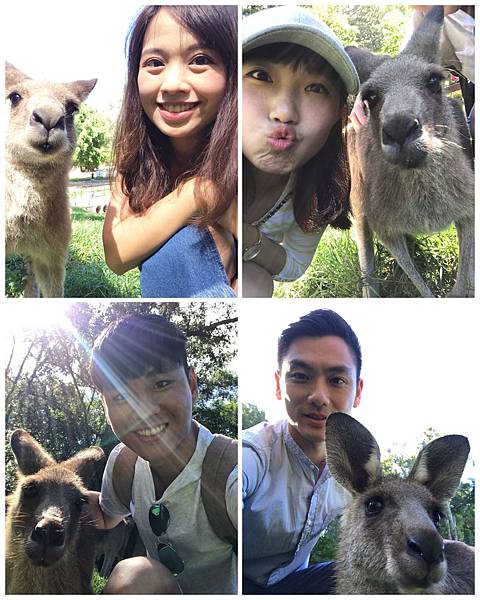 IMG_3323.JPG IMG_3323.JPG