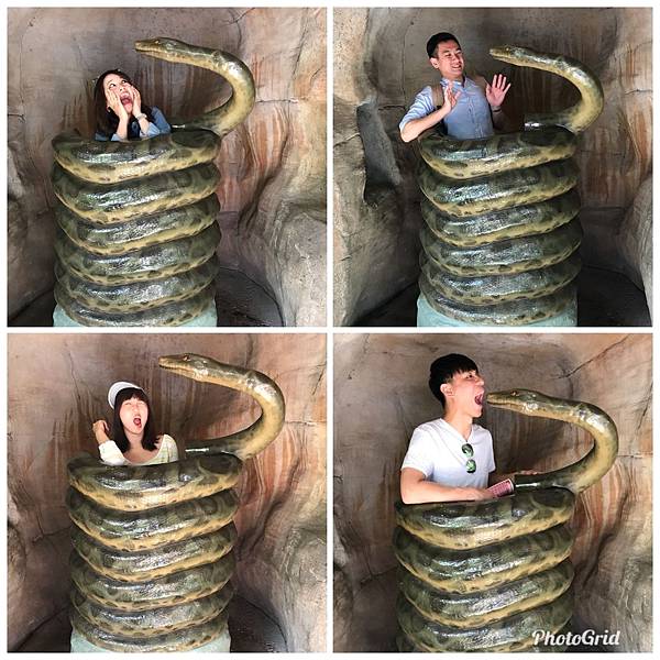 IMG_3322.JPG IMG_3322.JPG