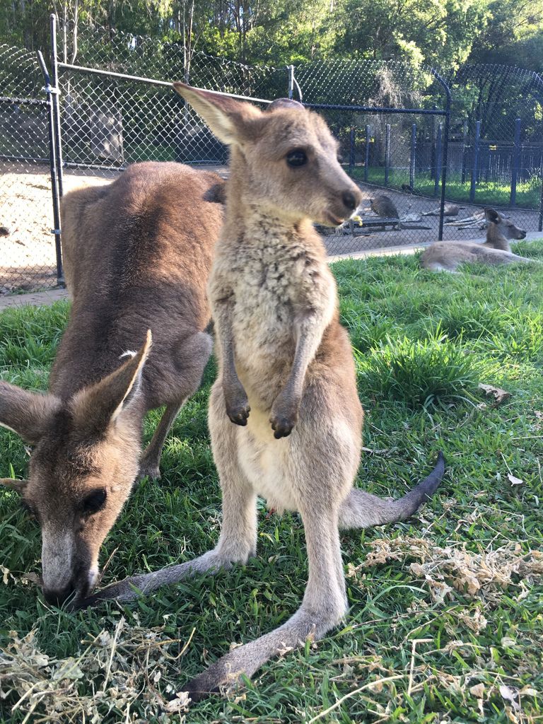 IMG_5435.JPG IMG_5435.JPG