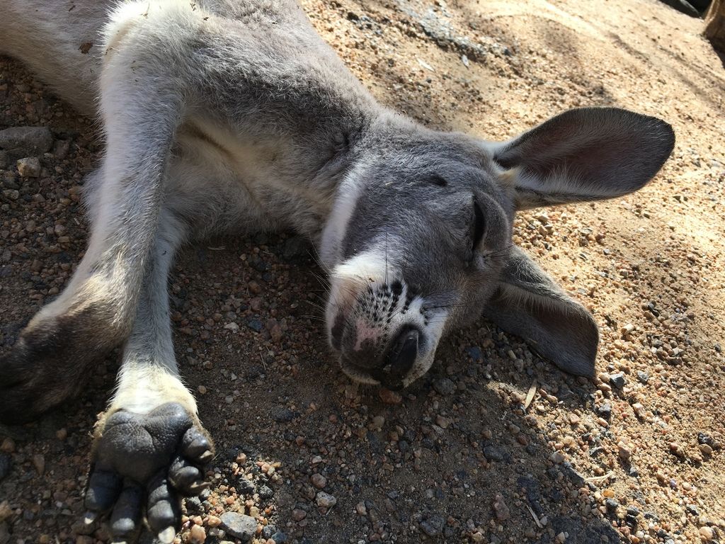 IMG_5421.JPG IMG_5421.JPG