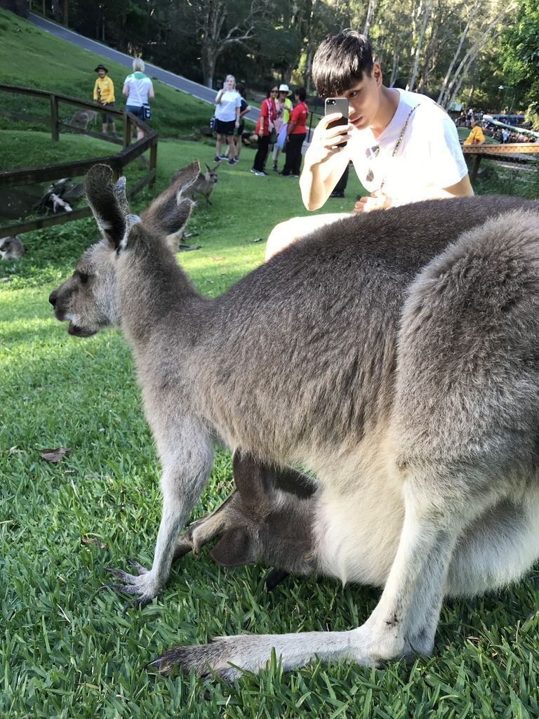 IMG_2548.JPG IMG_2548.JPG