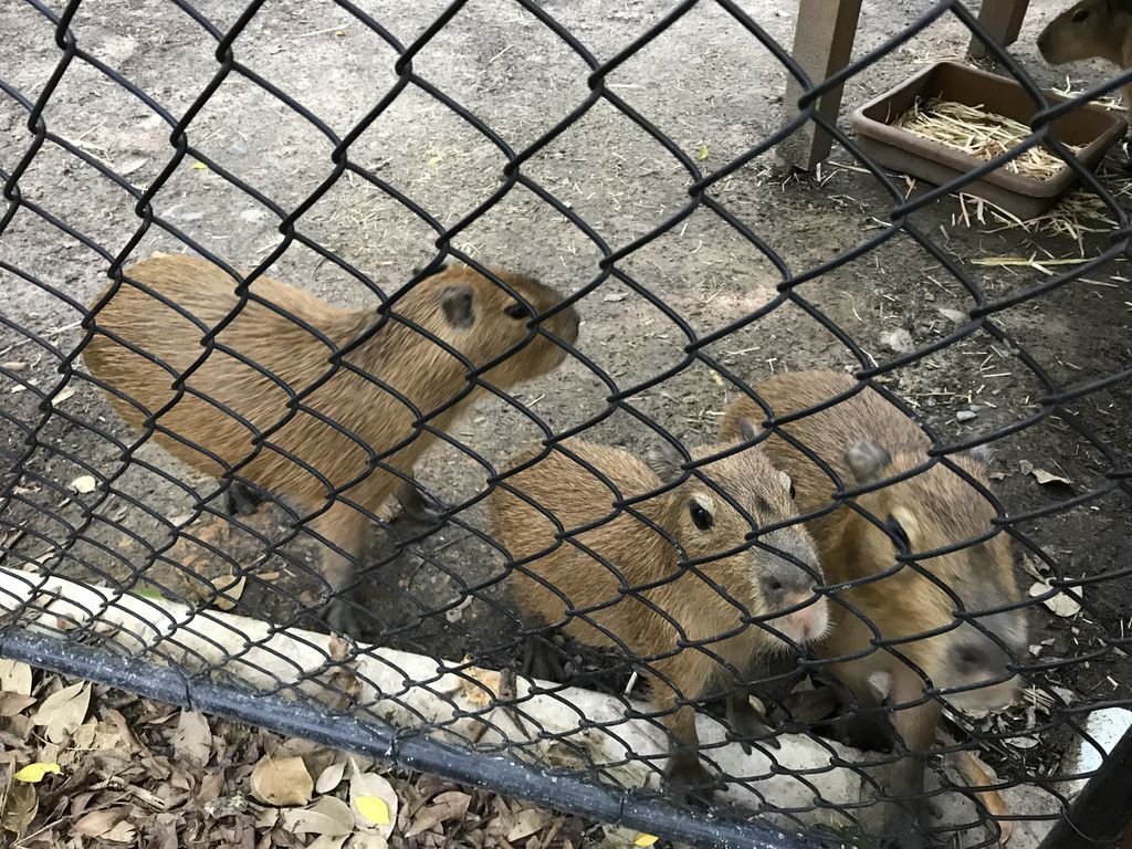 IMG_2541.JPG IMG_2541.JPG