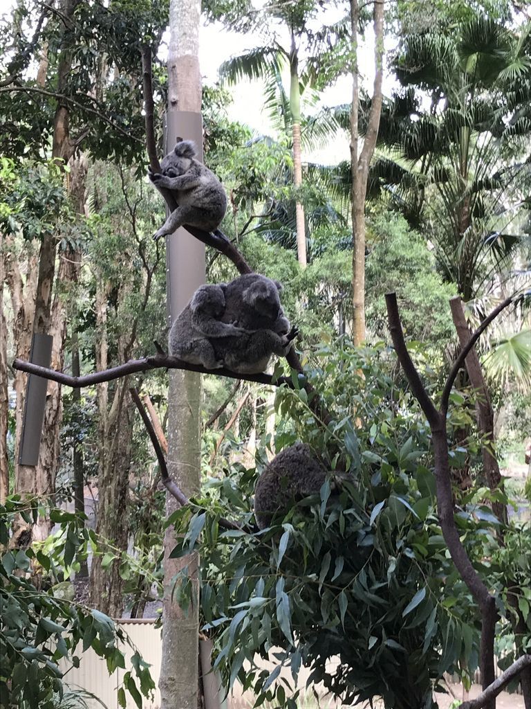 IMG_2443.JPG IMG_2443.JPG