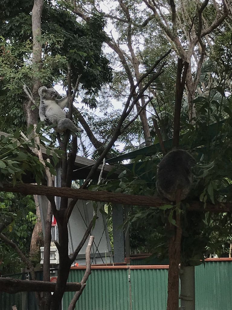 IMG_2420.JPG IMG_2420.JPG