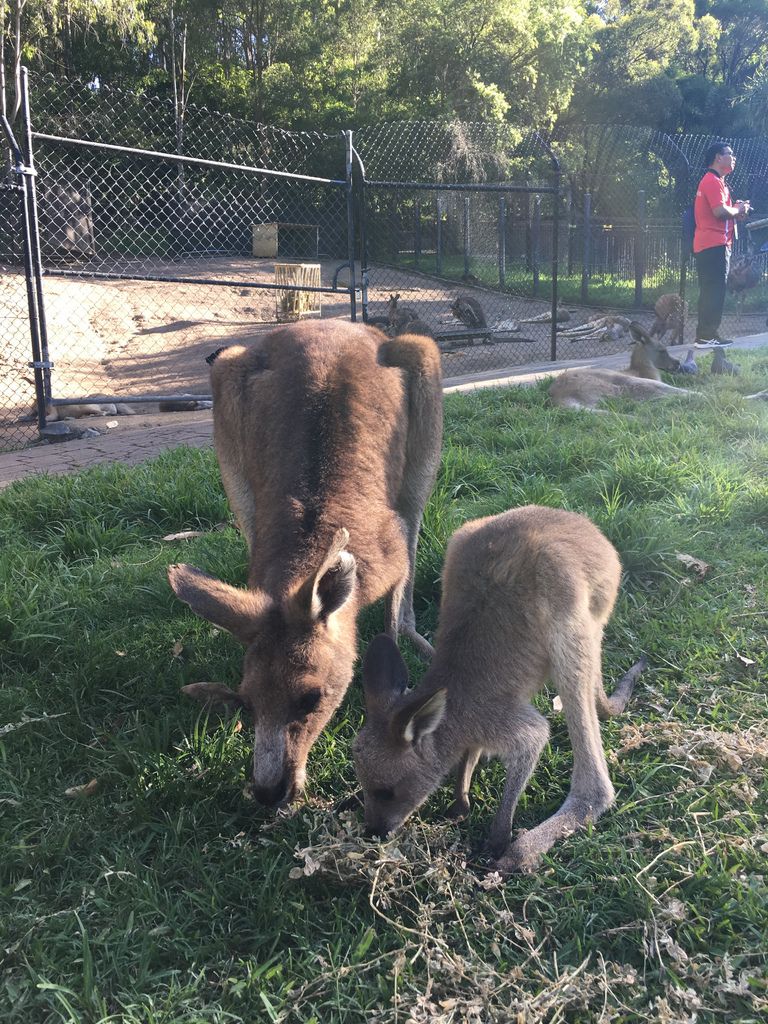 IMG_5431.JPG IMG_5431.JPG