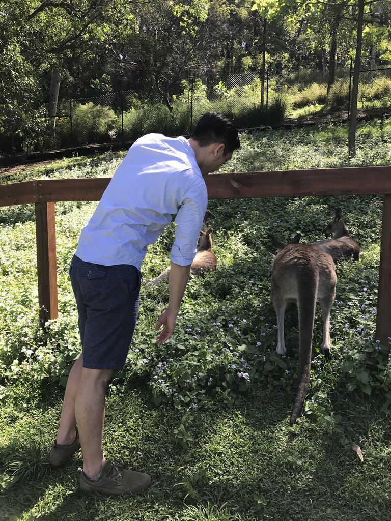 IMG_2480.JPG IMG_2480.JPG