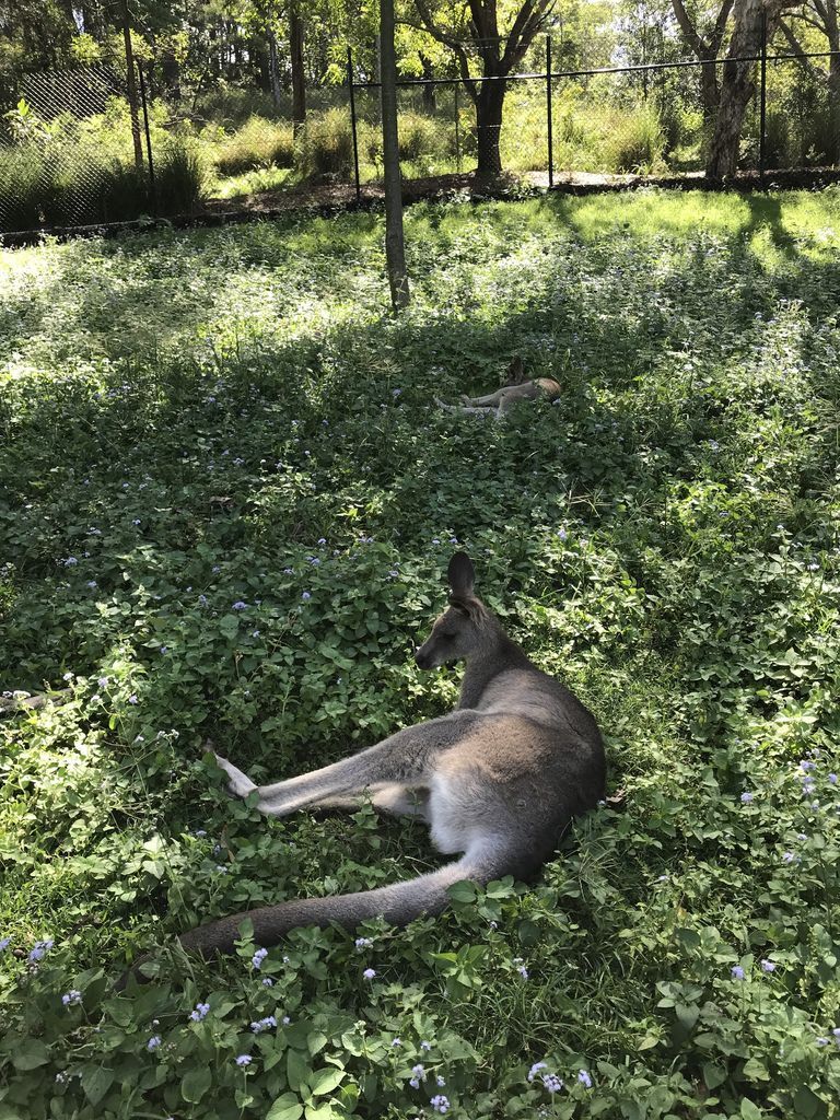 IMG_2477.JPG IMG_2477.JPG