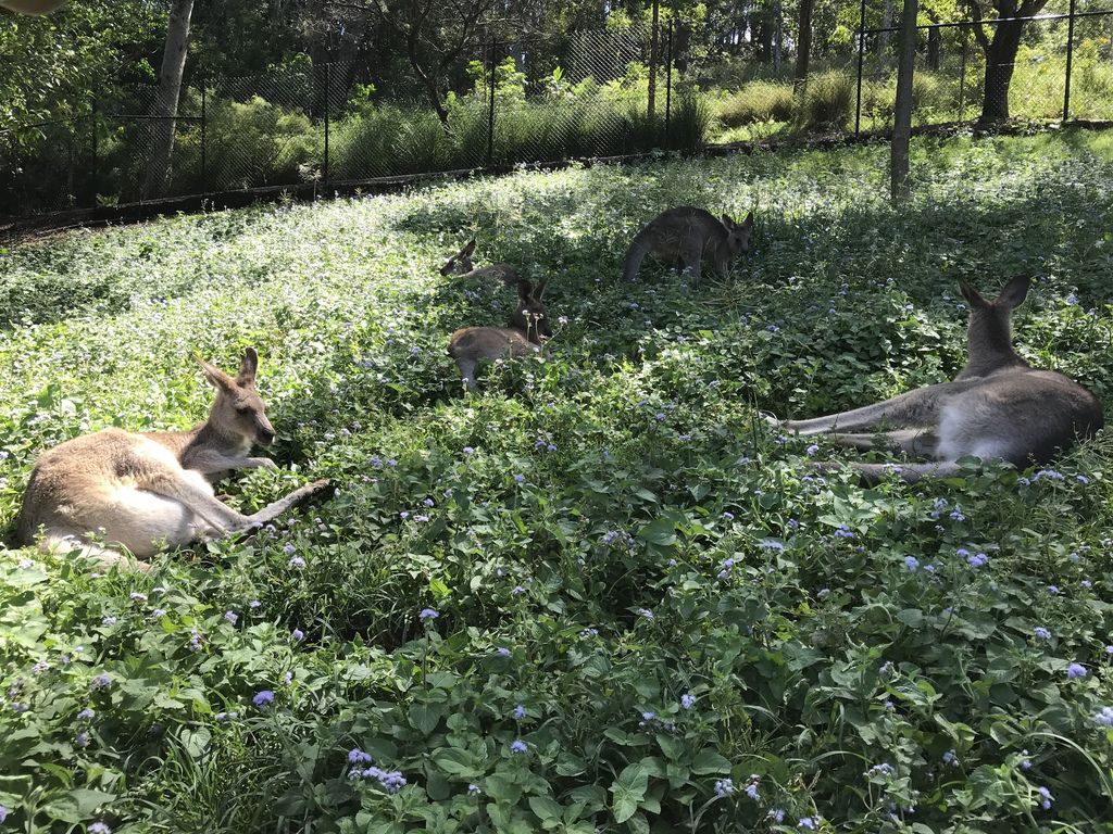 IMG_2475.JPG IMG_2475.JPG