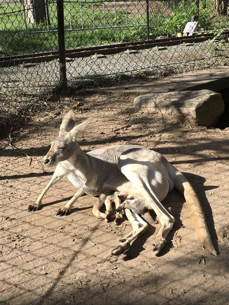 IMG_2536.JPG IMG_2536.JPG