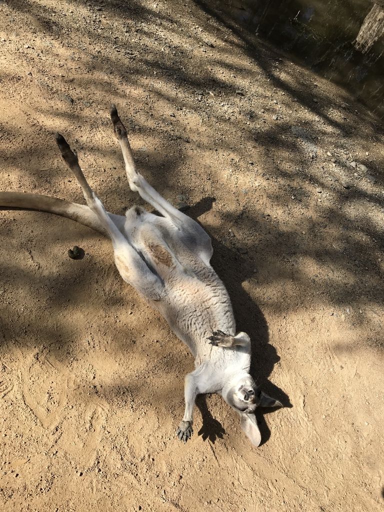 IMG_2519.JPG IMG_2519.JPG