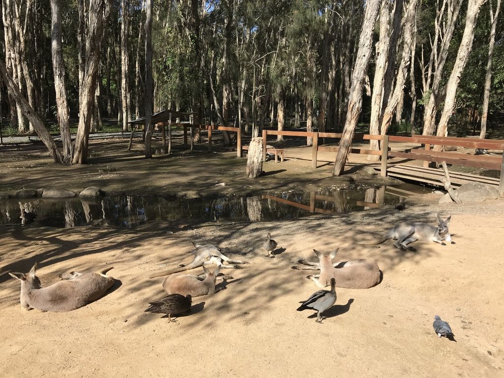 IMG_2518.JPG IMG_2518.JPG