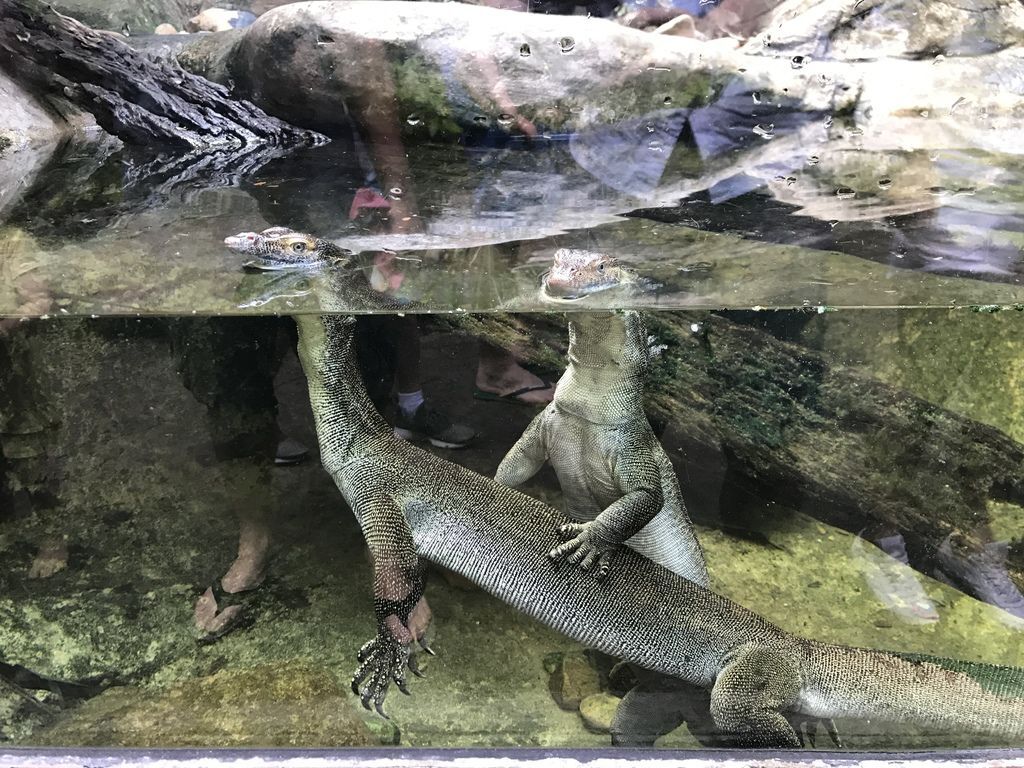 IMG_3378.JPG IMG_3378.JPG