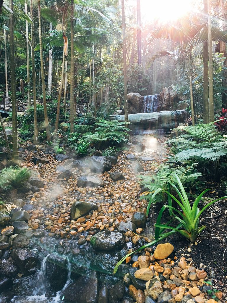 IMG_5426.JPG IMG_5426.JPG