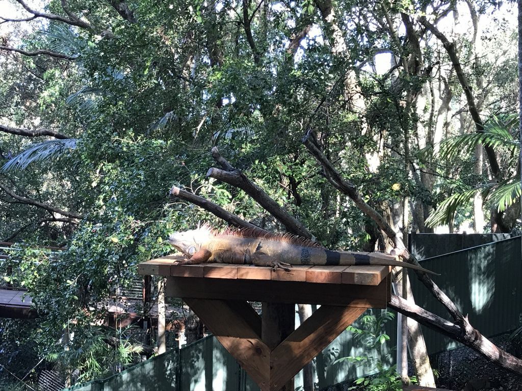 IMG_2538.JPG IMG_2538.JPG