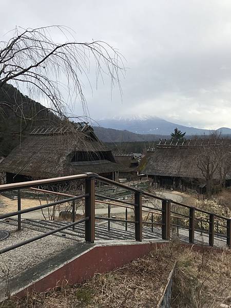 IMG_5999.JPG IMG_5999.JPG