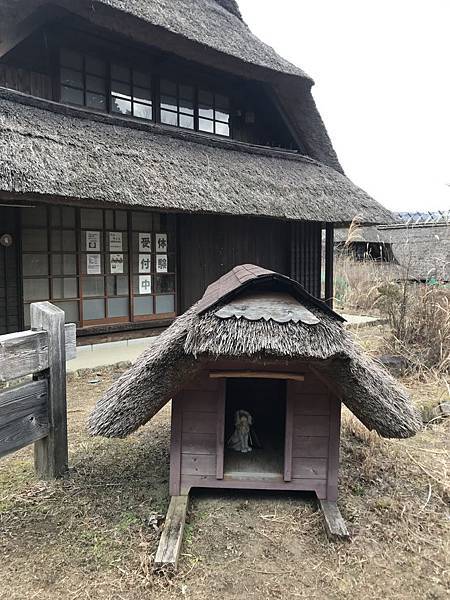 IMG_6009.JPG IMG_6009.JPG