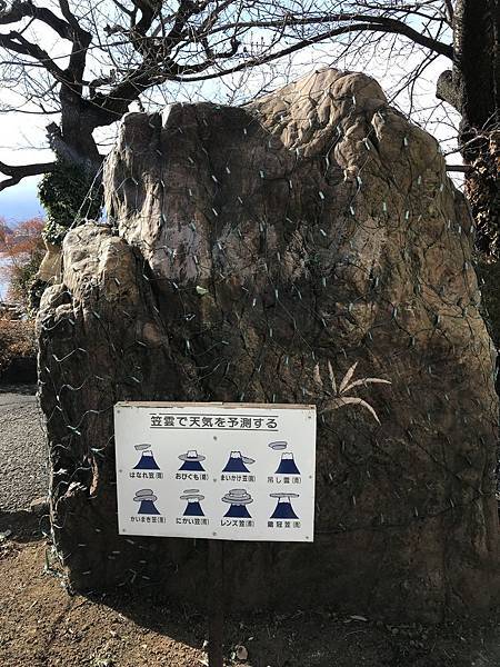 IMG_8862.JPG IMG_8862.JPG