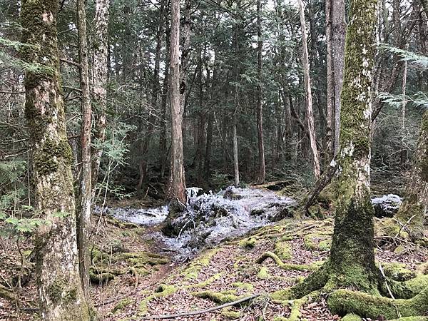 IMG_8961.JPG IMG_8961.JPG