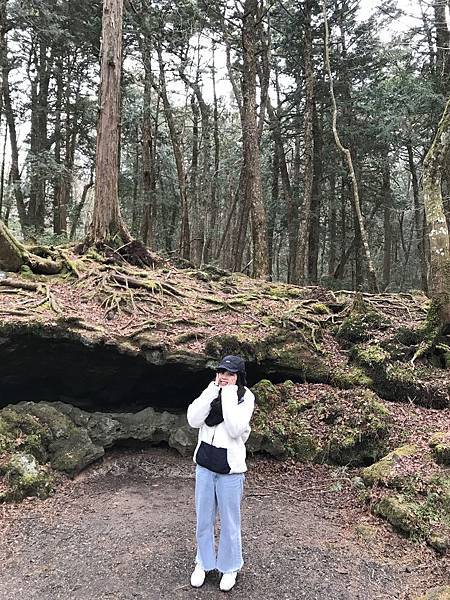 IMG_8982.JPG IMG_8982.JPG