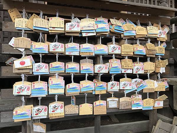 IMG_8995.JPG IMG_8995.JPG