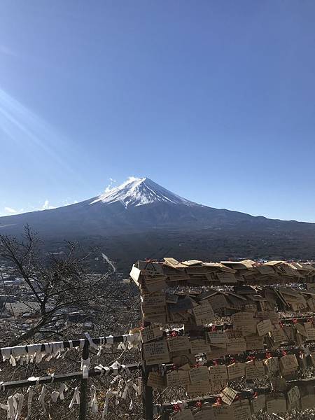 IMG_9177.JPG IMG_9177.JPG