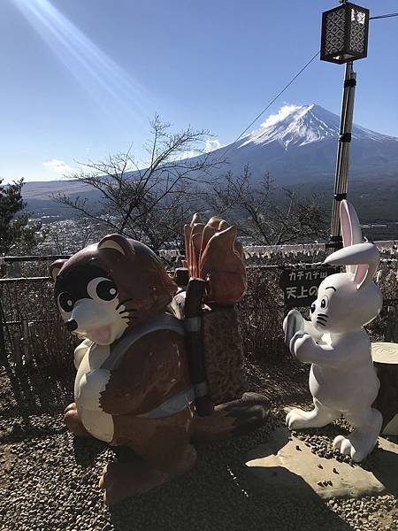 IMG_9174.JPG IMG_9174.JPG