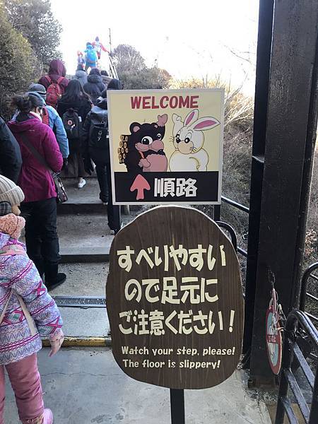 IMG_9111.JPG IMG_9111.JPG